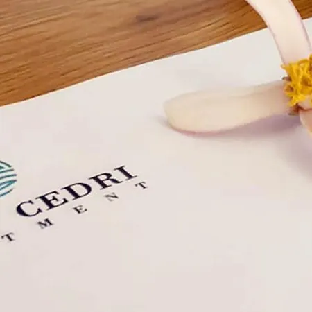 Domus Cedri