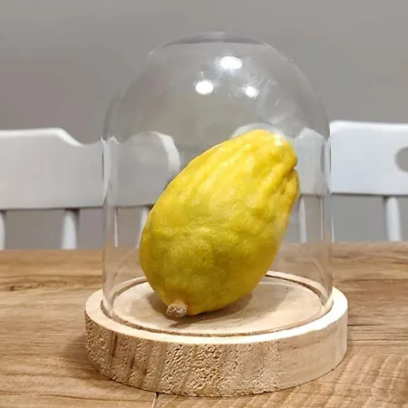 Domus Cedri Apartamento *