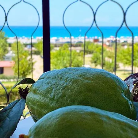 Domus Cedri Apartmán Santa Maria Del Cedro