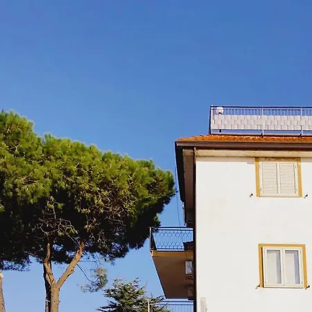 Domus Cedri * Santa Maria Del Cedro