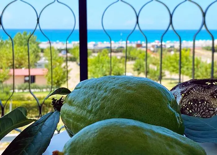 Domus Cedri 公寓 圣玛丽亚德尔西德