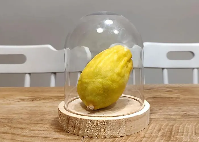 Domus Cedri 公寓 *